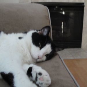 Meet your Posher, Mookie